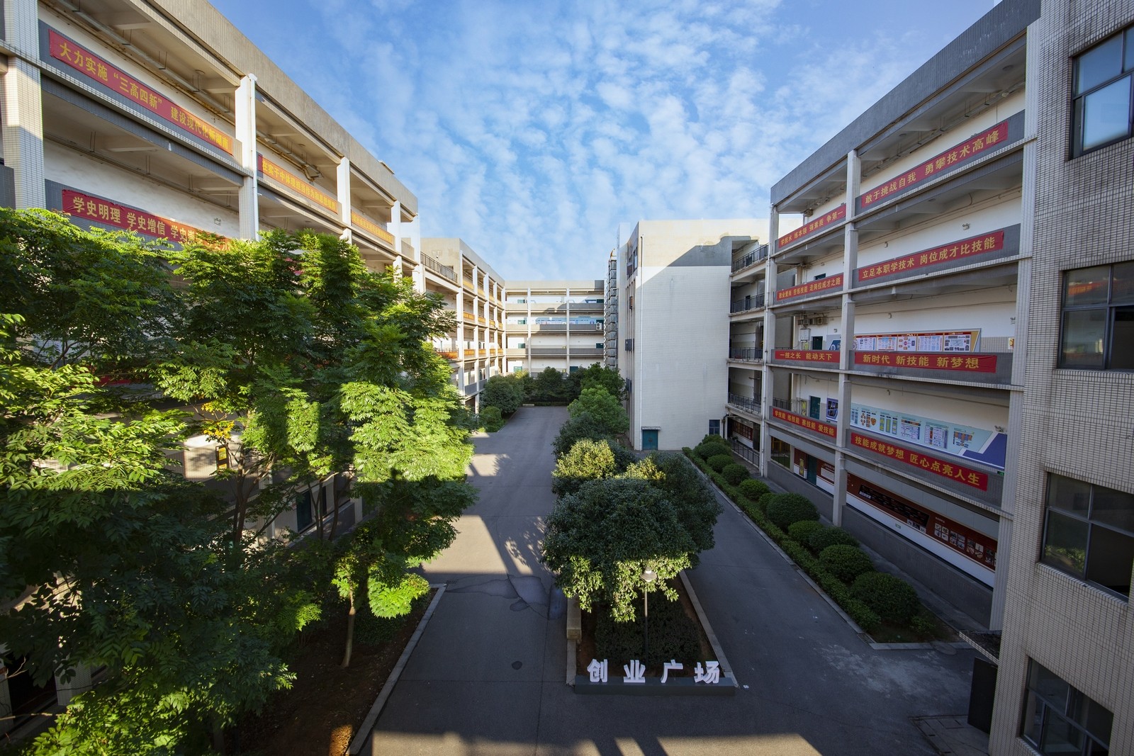 校园风景