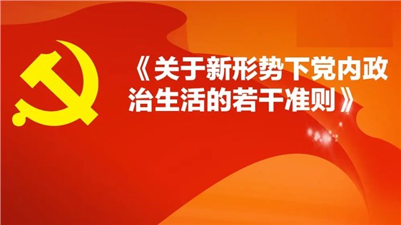 关于新形势下党内政治生活的若干准则