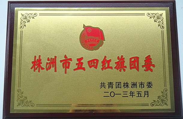 株洲市五四红旗团委