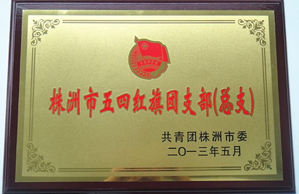 株洲市五四红旗团支部（总支）